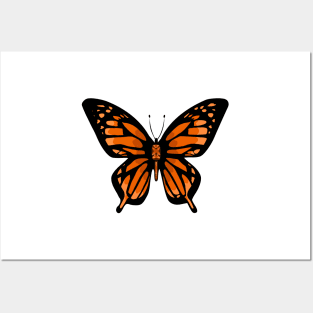 Orange Butterfly | Monarch Posters and Art